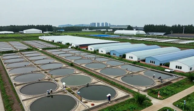 科学养殖如何推动鲜活水产产业高质量发展